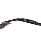 Revolutionary Love lanyard